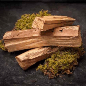 PALO SANTO