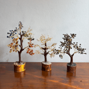 ARBOL DE LA VIDA
